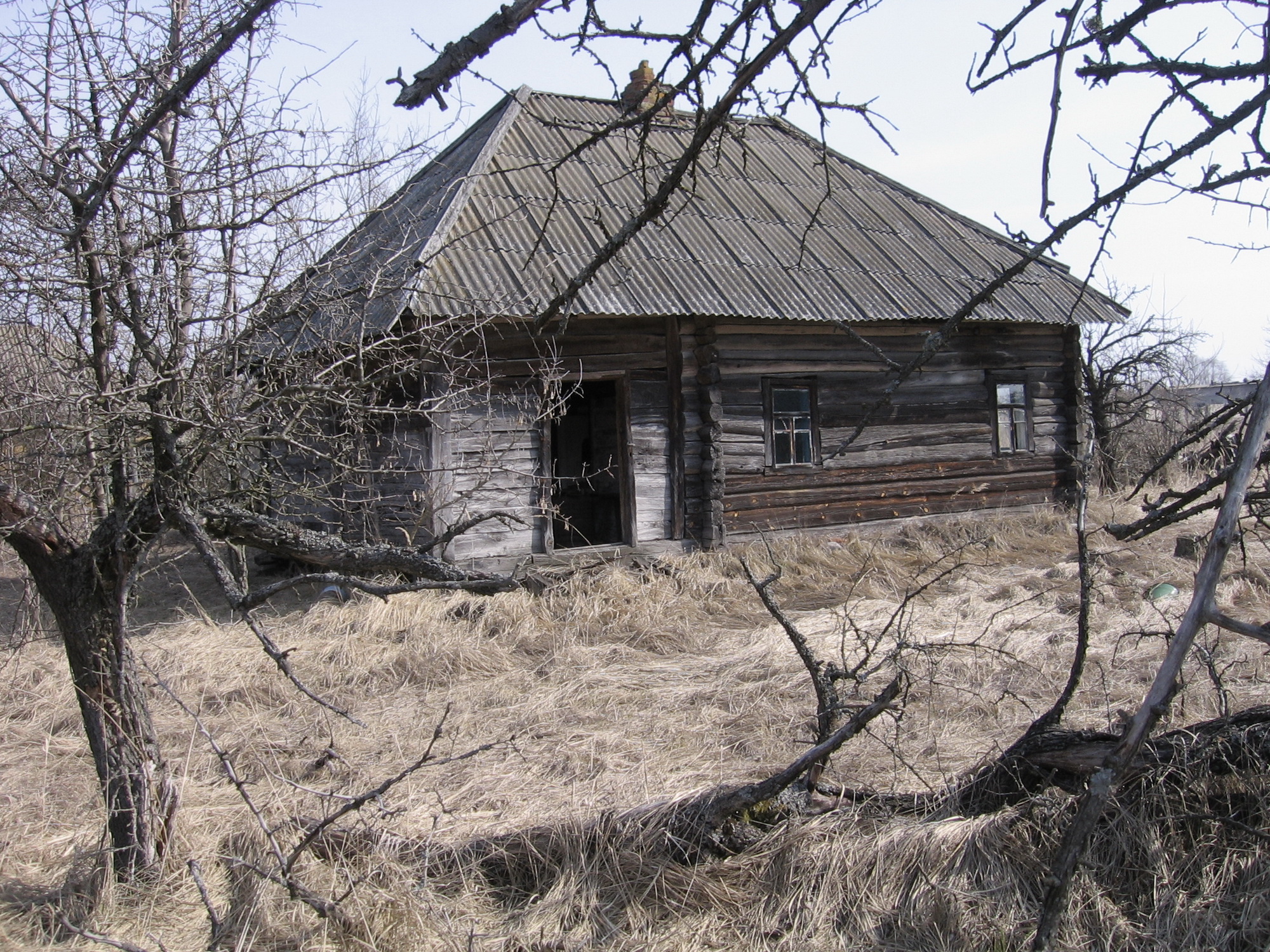 IMG_5831_новый размер